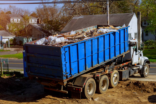 Best Shed Removal  in Remsen, IA